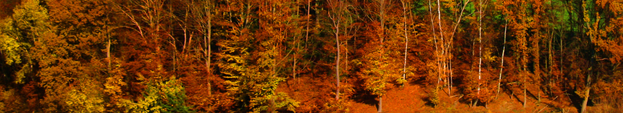 Herbstpano